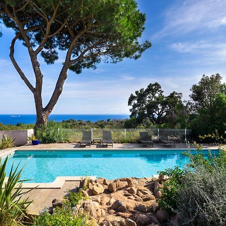 Costa Marina Lejlighed Porto-Vecchio  Eksteriør billede